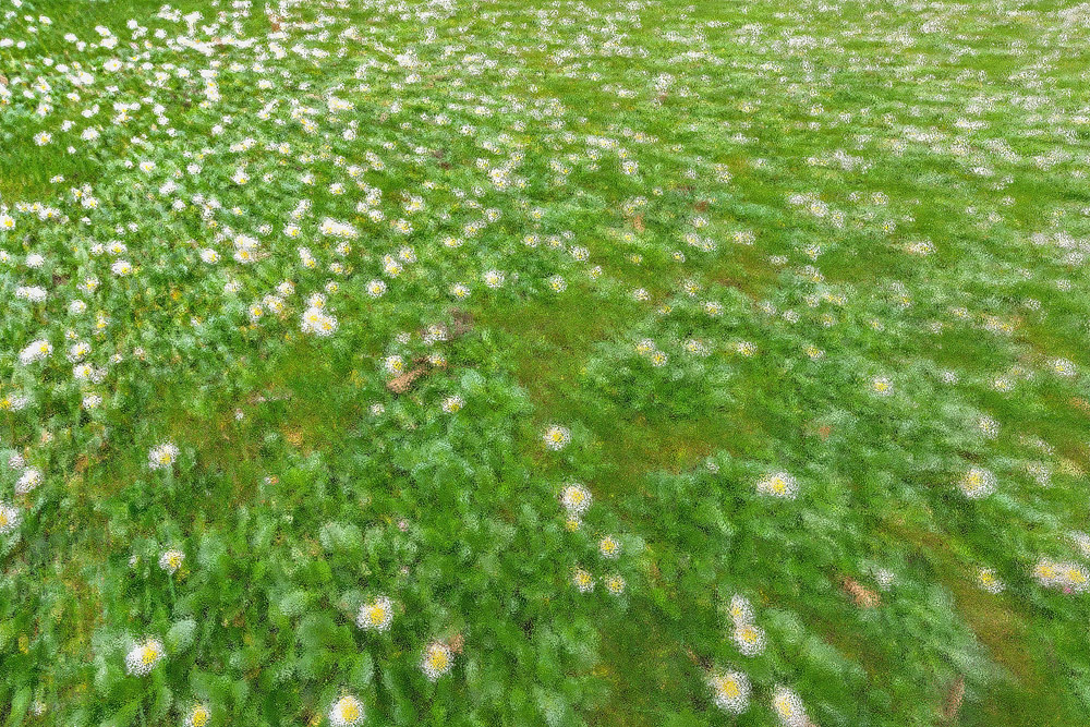 DSC 3096 2