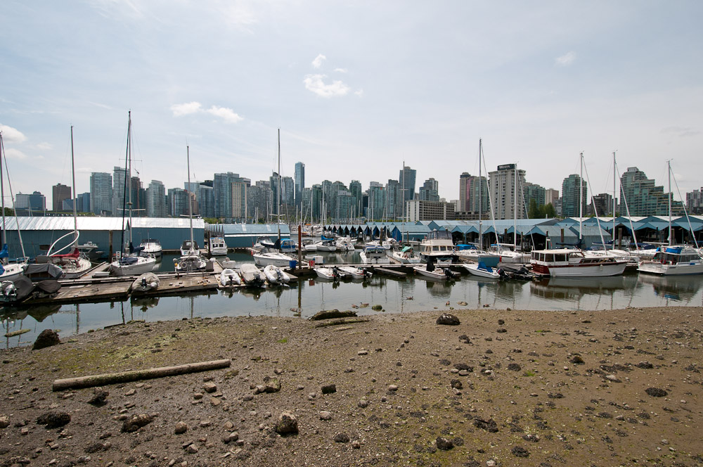 DSC 3111