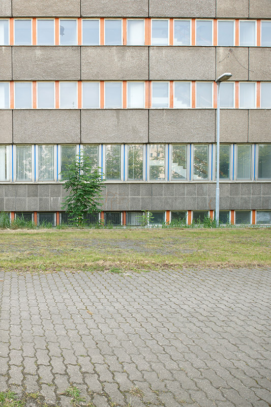 DSC 3146