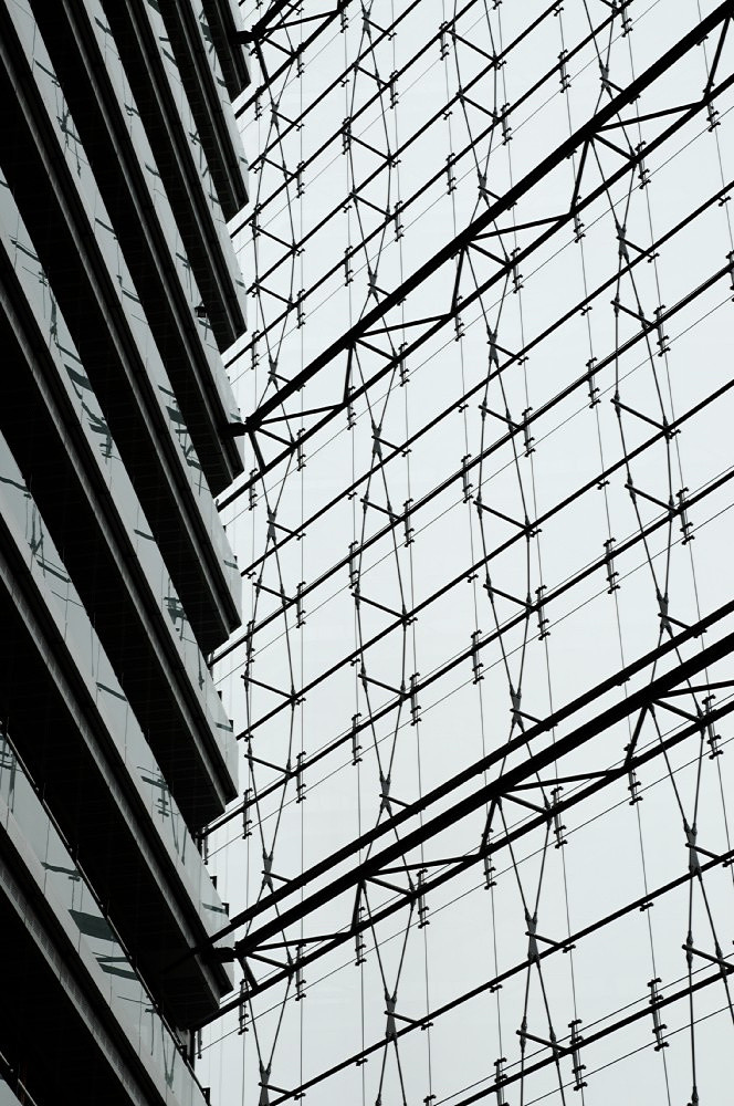 DSC 3184 dxo 1000