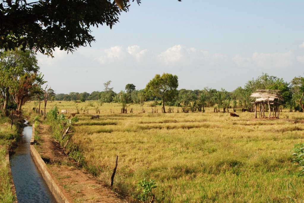 DSC 3288 28 01