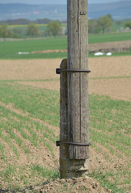 DSC 3340