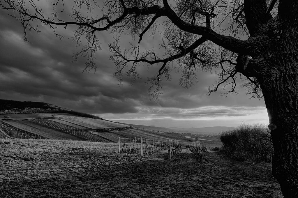DSC 3380 edit