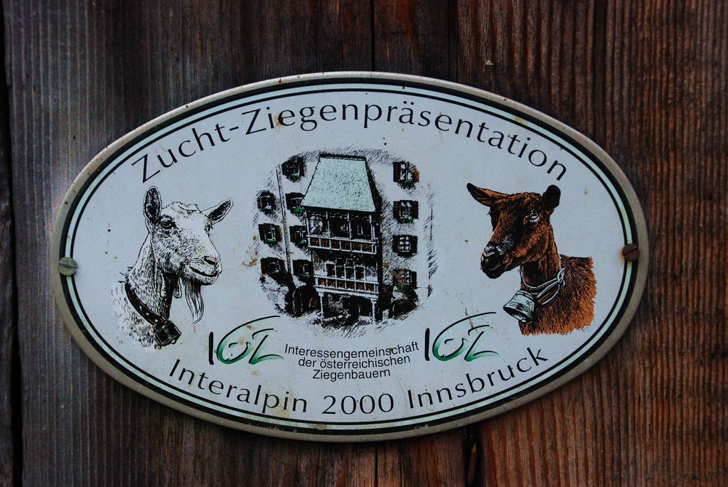 DSC 3513bf Bildgröße ändern