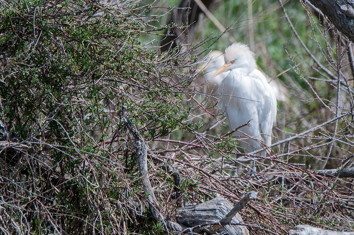 DSC 3611 Bearbeitet