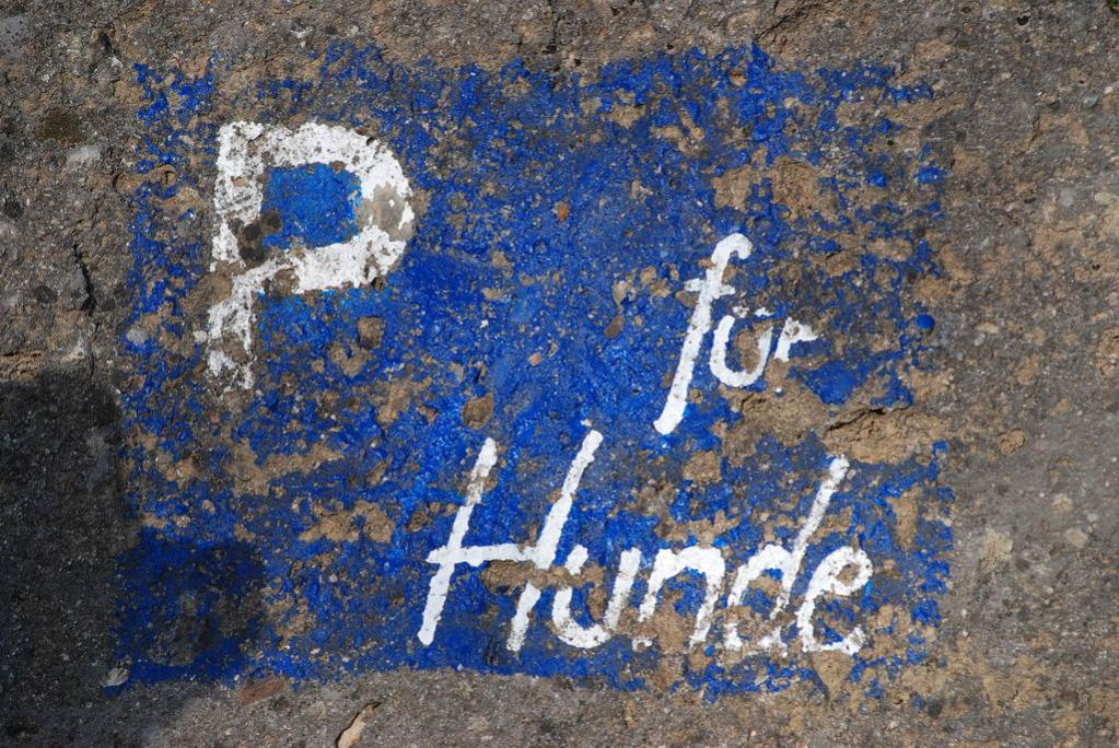 DSC 3611 Bildgröße ändern