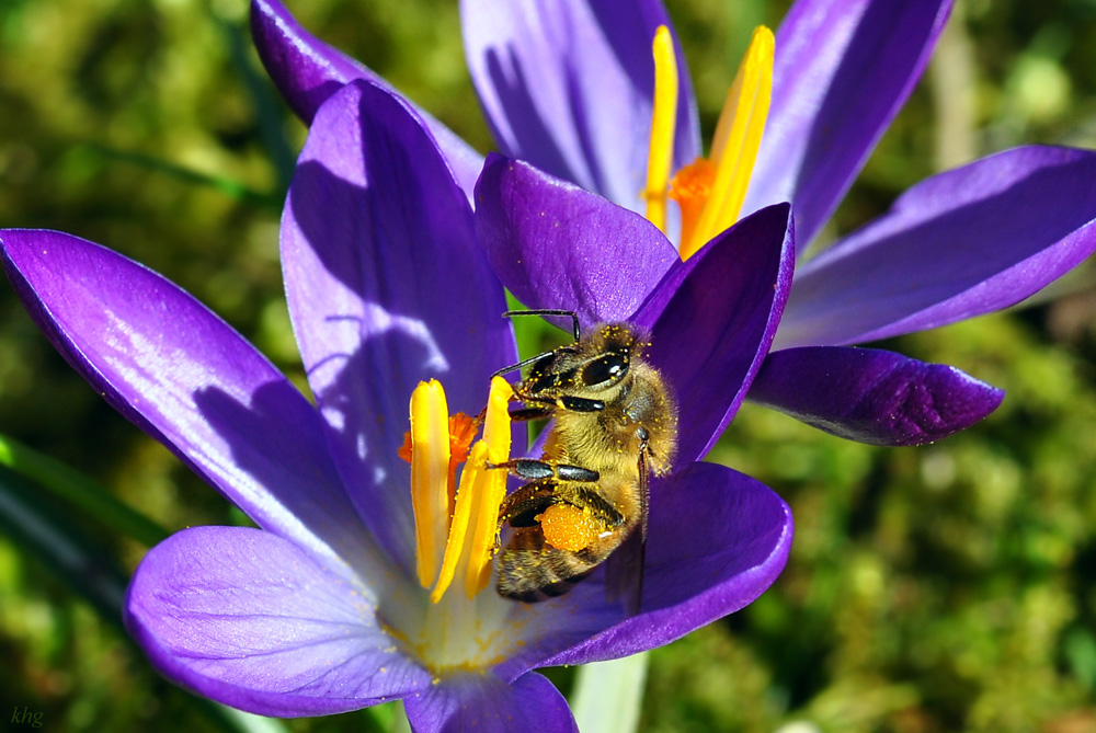 DSC 3657 Frühling