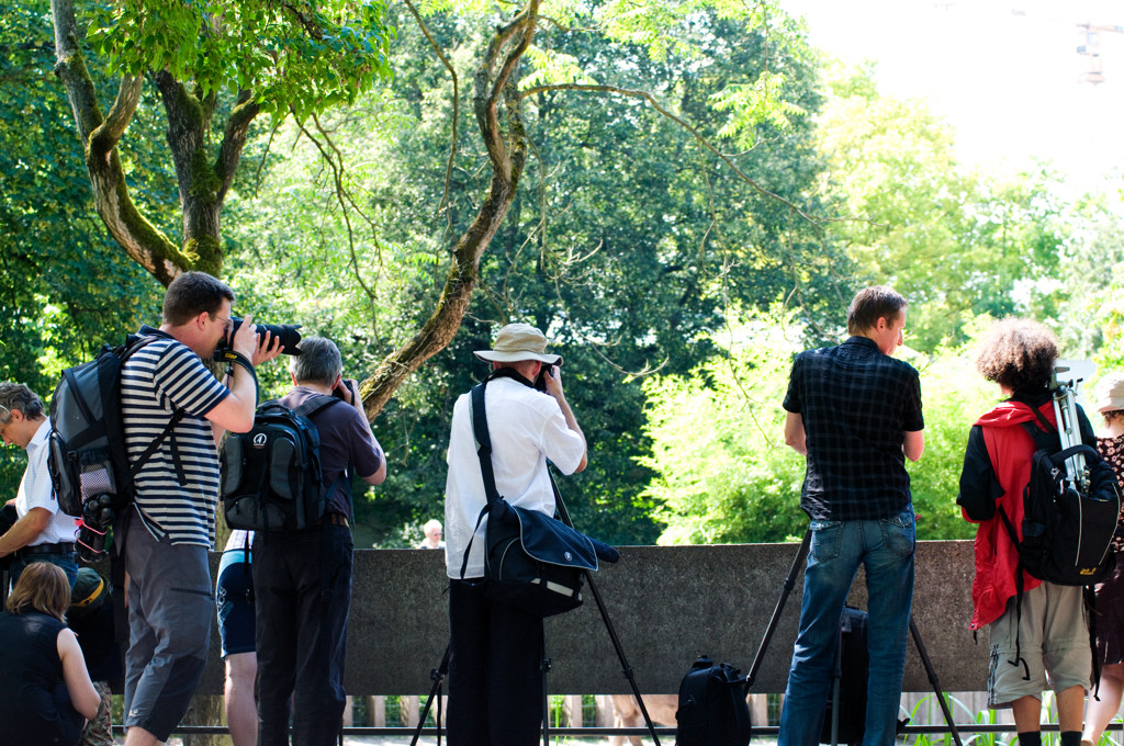 DSC 3674 alles fotografiert