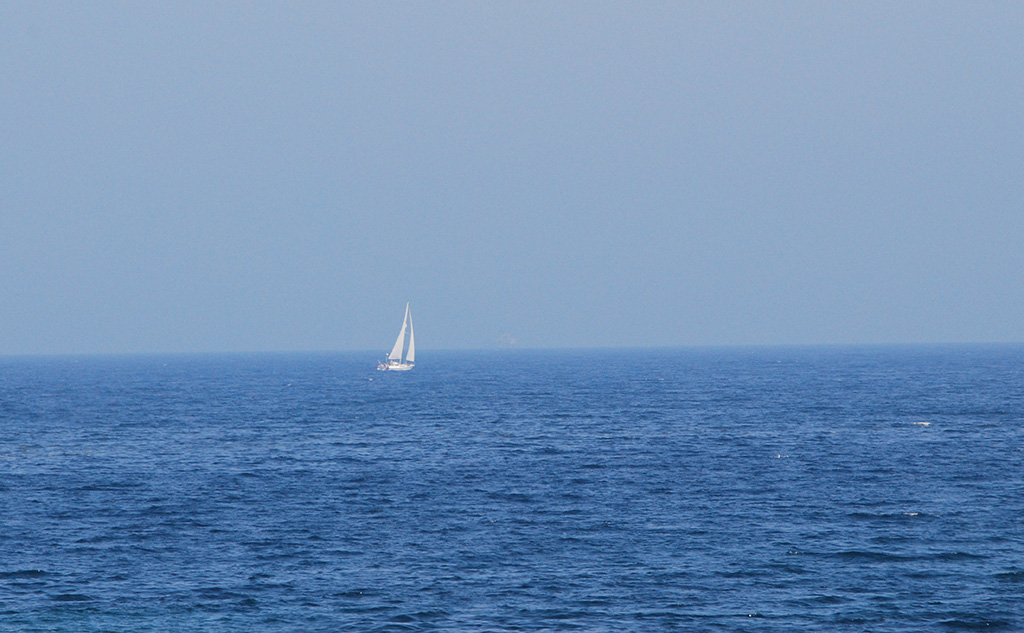 DSC 3733Ax