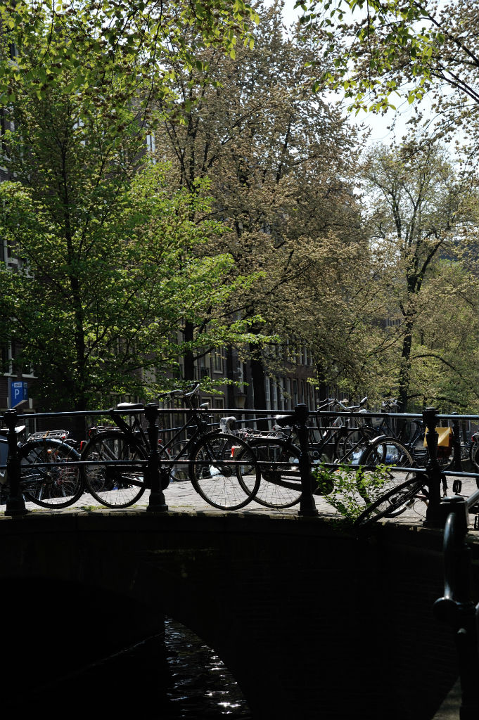 DSC 3773 bruecke 2 passig