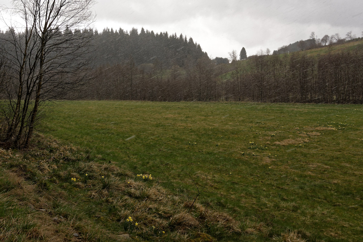 DSC 3817 NSG Perlenbach

Der April schlägt mit allem was er bieten kann zu... der Himmel hat sich innerhalb weniger Minuten wieder zugezogen und es be