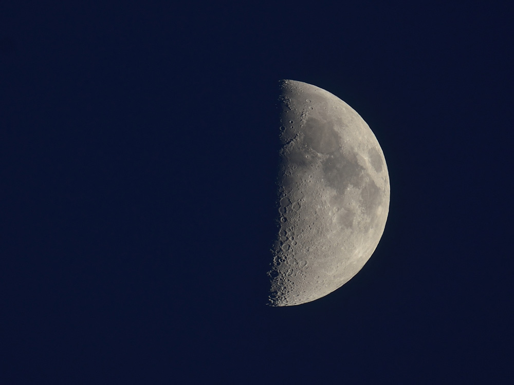 DSC 3940 985 3