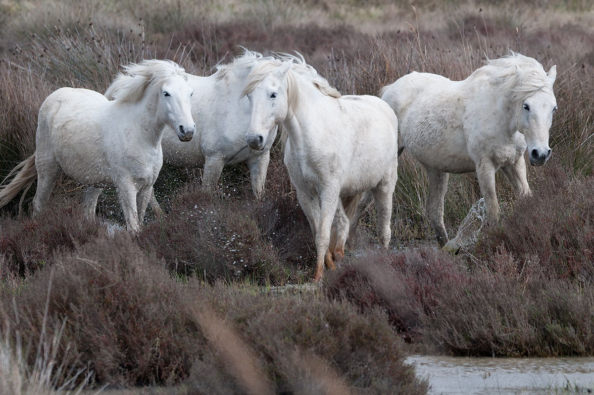 DSC 3974 Bearbeitet