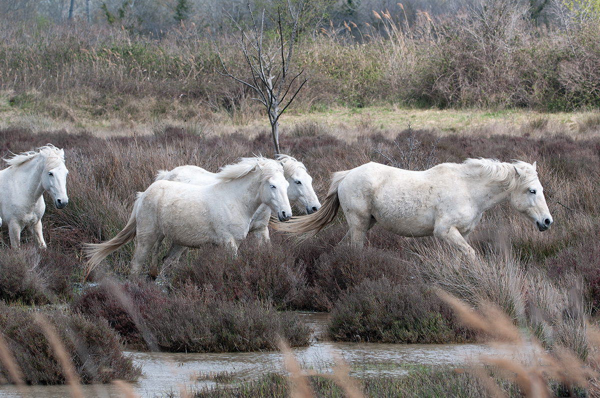 DSC 3978 Bearbeitet