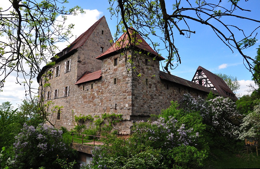 DSC 4018