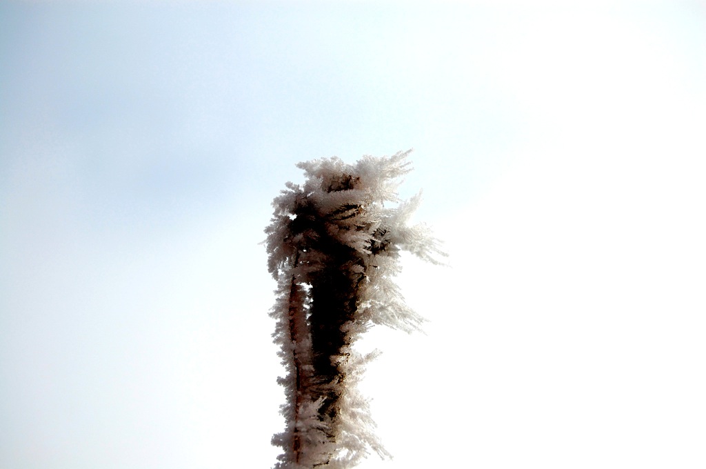 DSC 4088