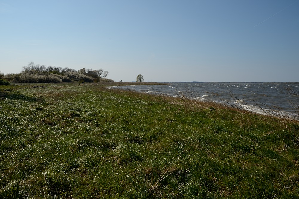 DSC 4167a