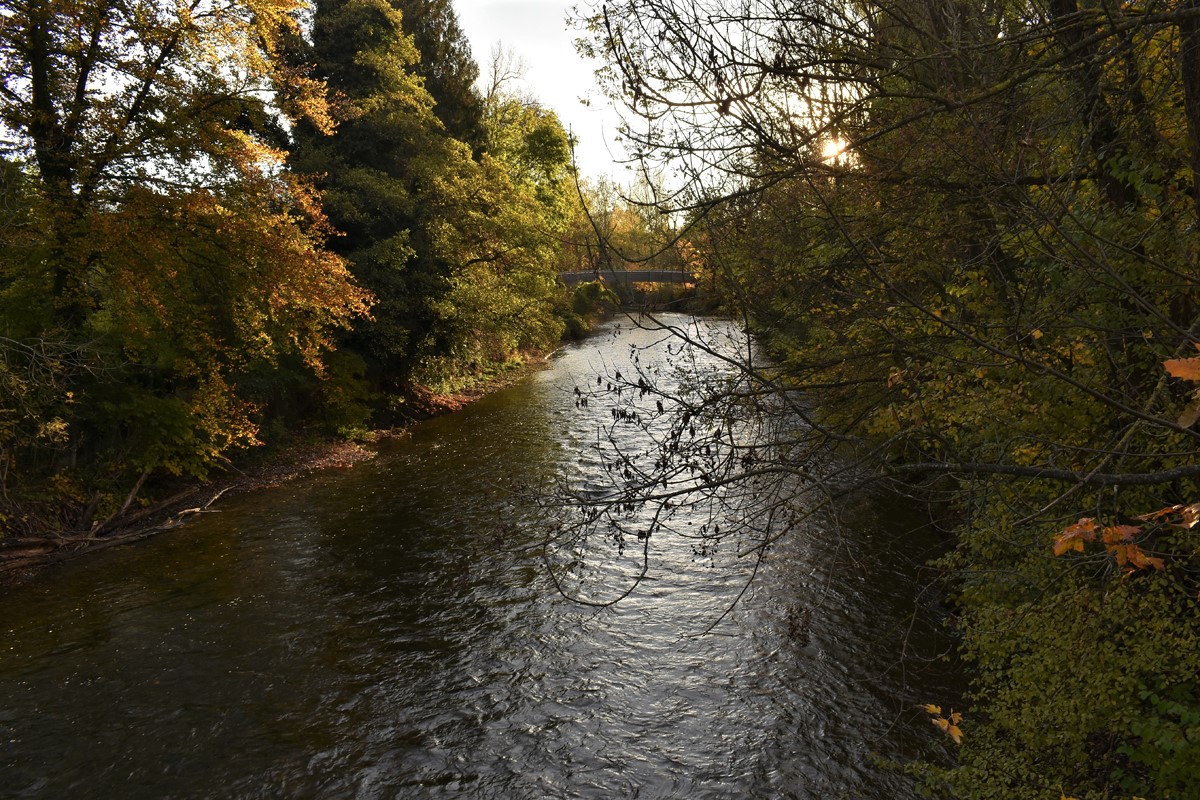 DSC 4181