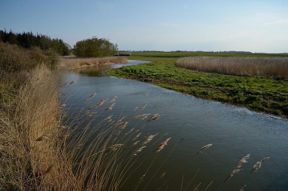 DSC 4192a