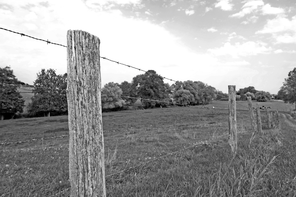 DSC 4207 Weidezaun