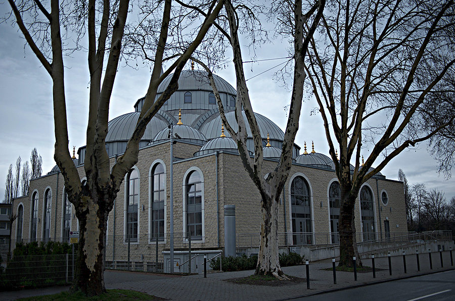 DSC 4242