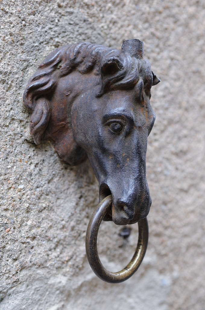 DSC 4275