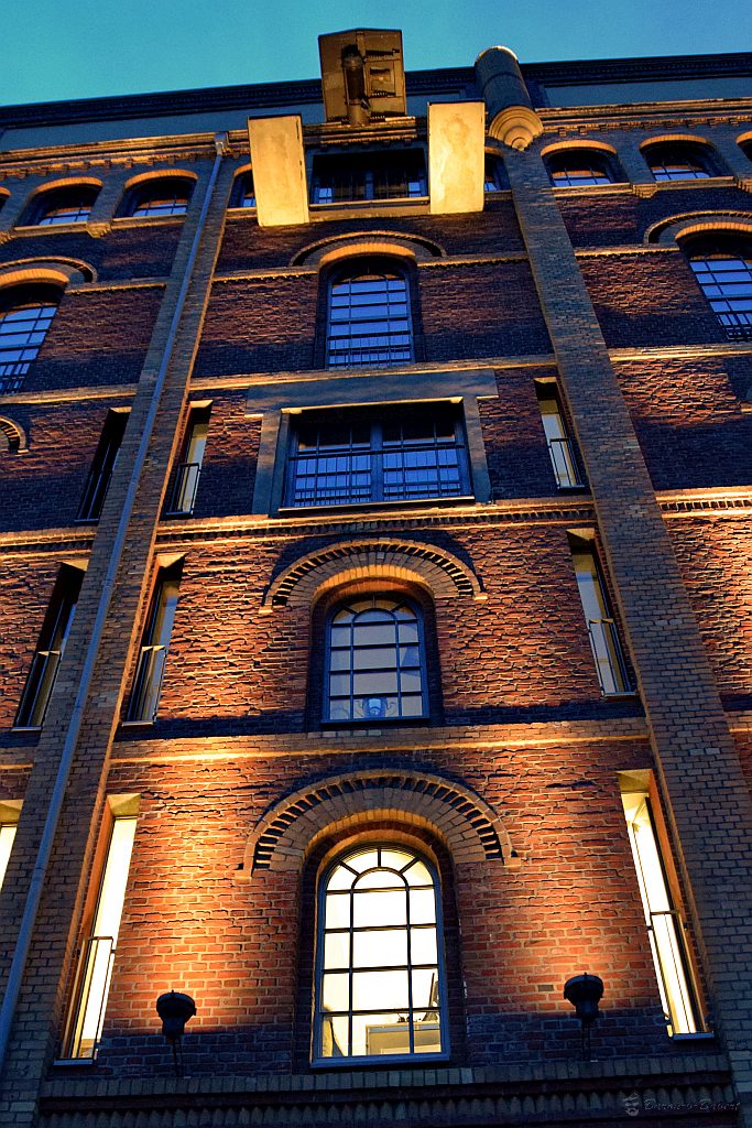 DSC 4291 a