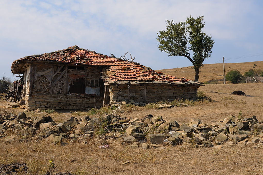 DSC 4305
