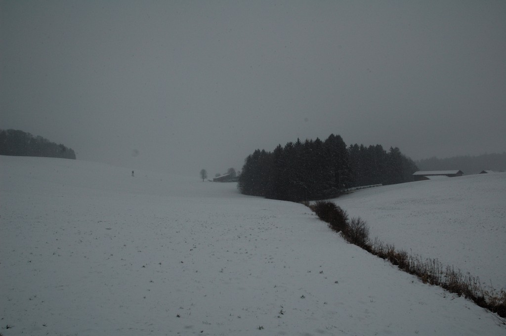 DSC 4306