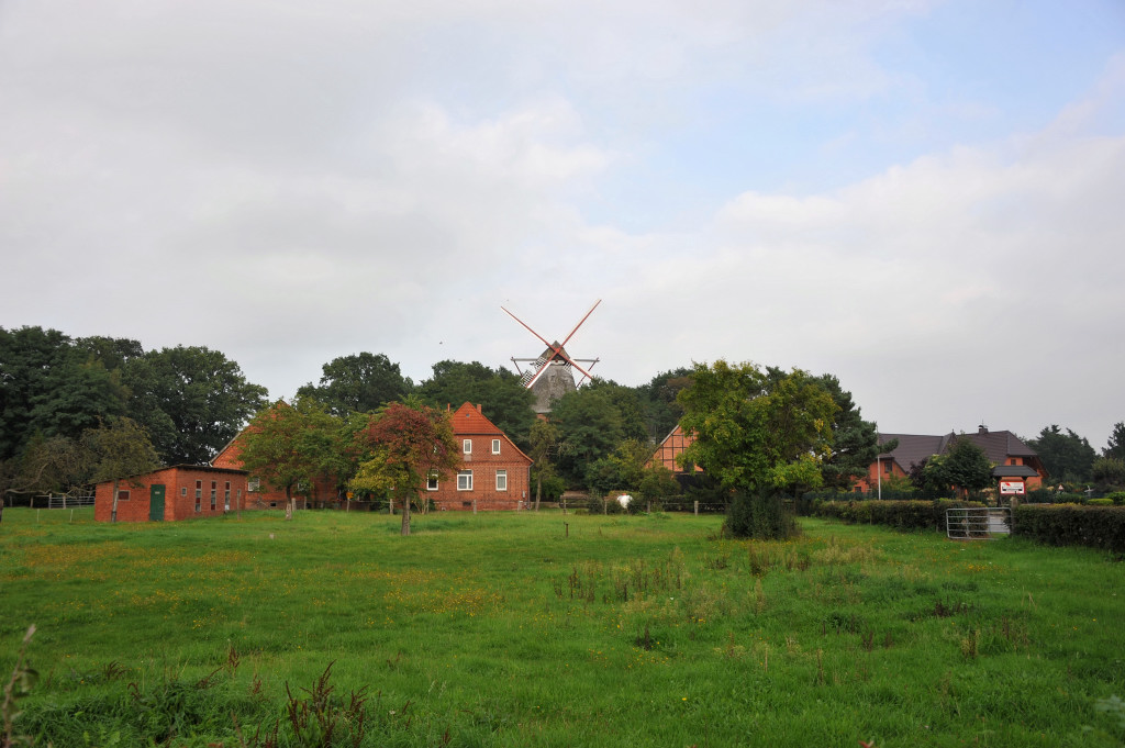 DSC 43060001