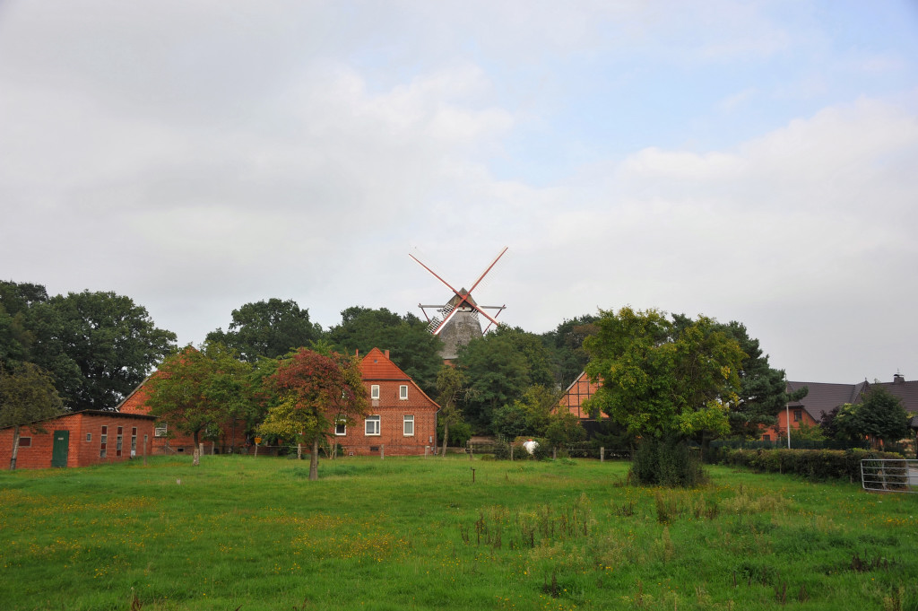 DSC 43070001