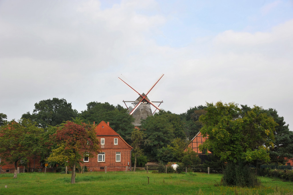 DSC 43080002
