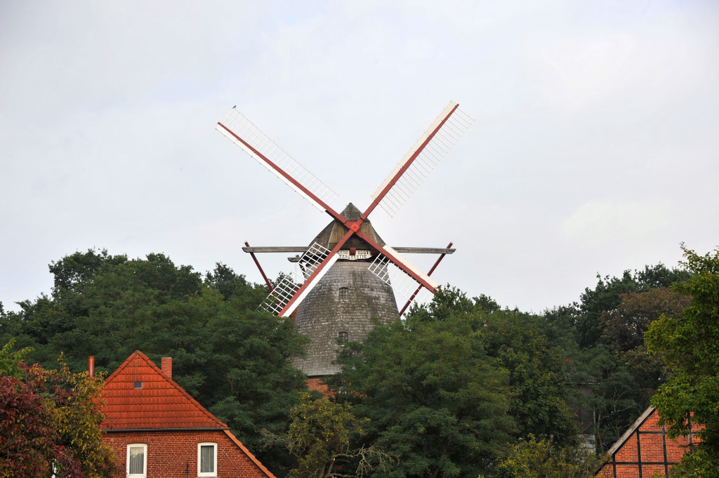 DSC 43090003
