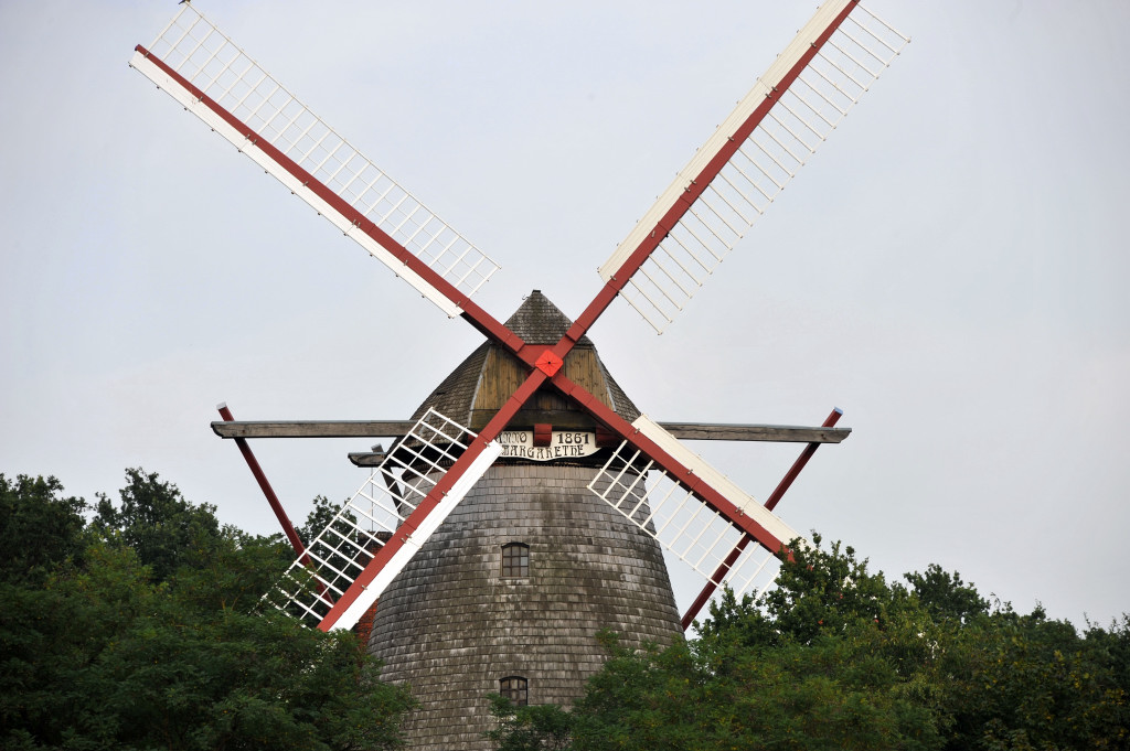DSC 43100004