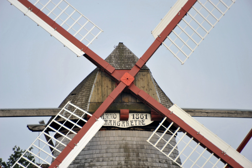 DSC 43120006