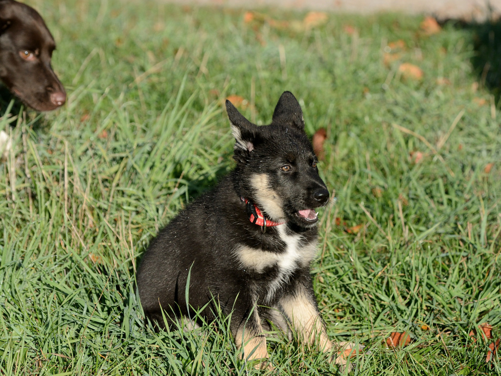 DSC 4378