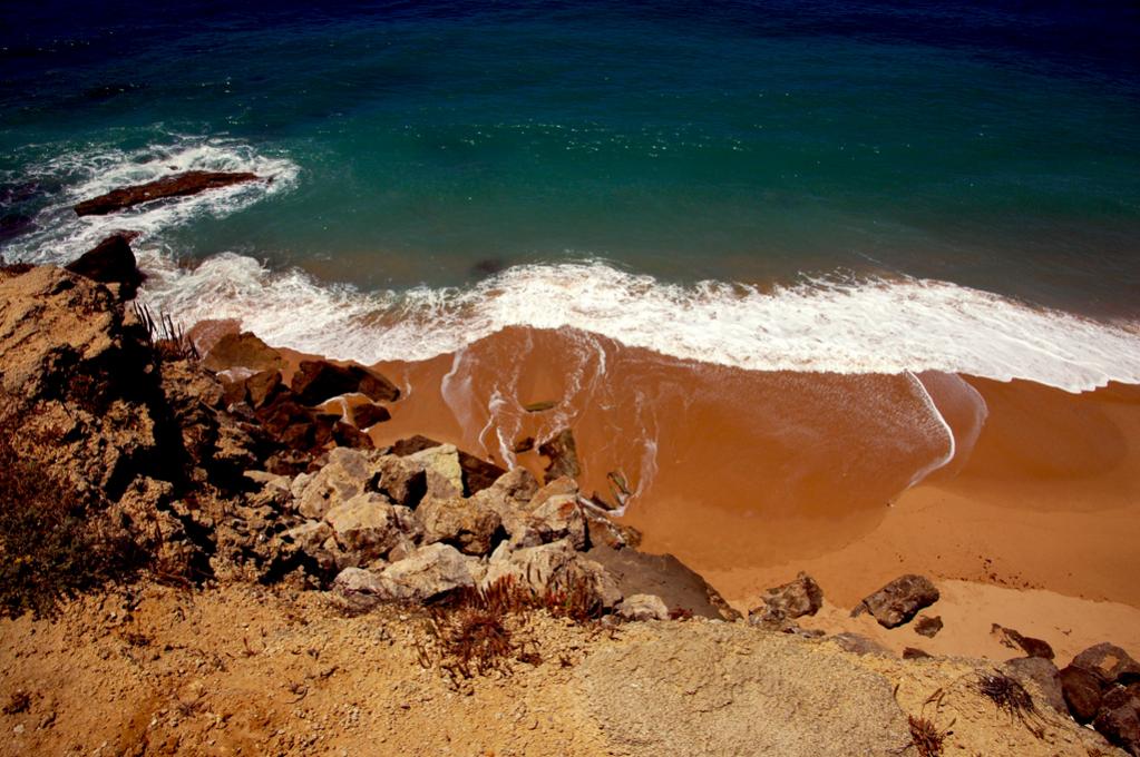 DSC 4472 klein