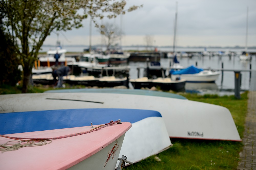 DSC 4504a