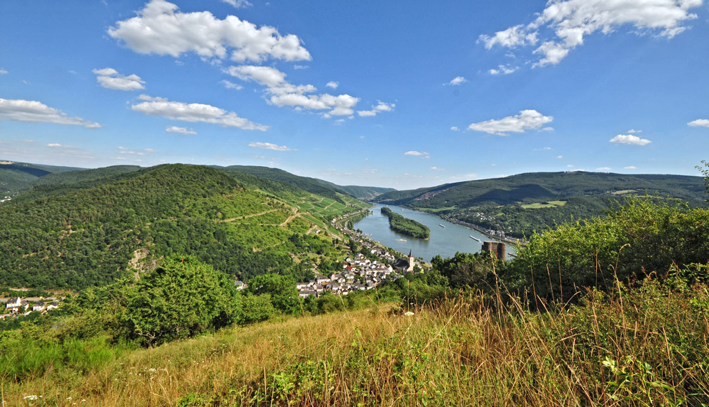 DSC 4550