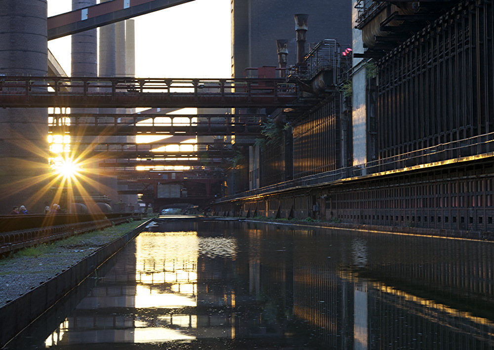 DSC 4552 1000