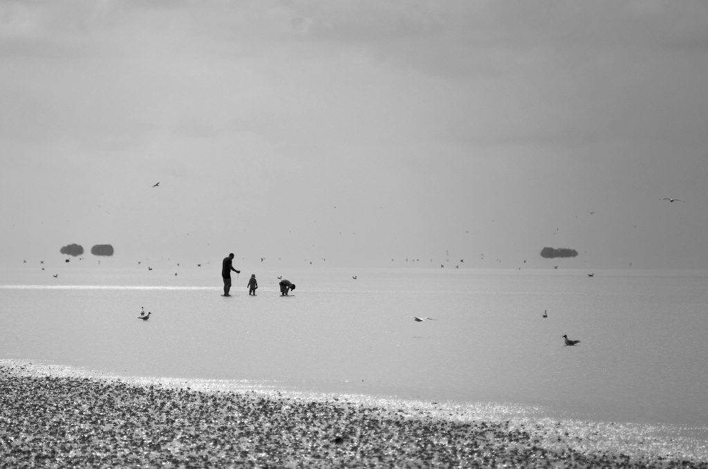 DSC 4627 DxO 2