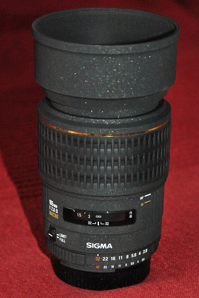 DSC 4628