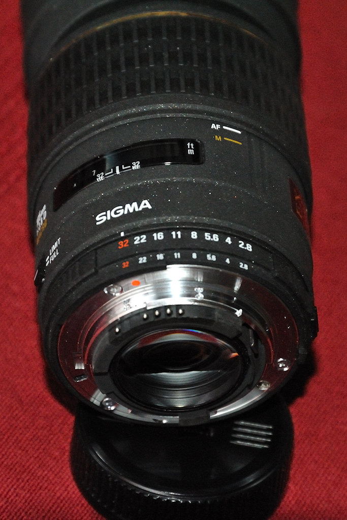 DSC 4630