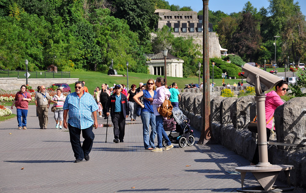 DSC 4802 Niagara