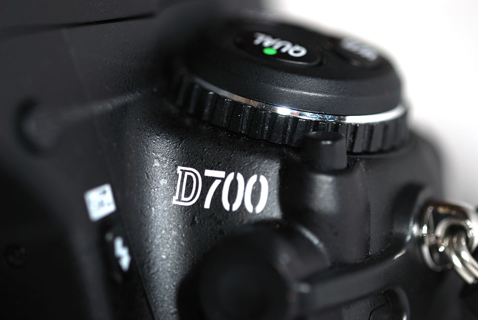 DSC 4809