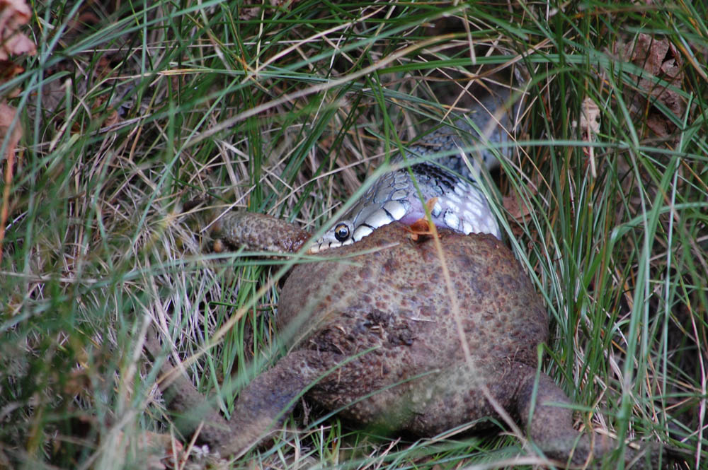 DSC 4873k