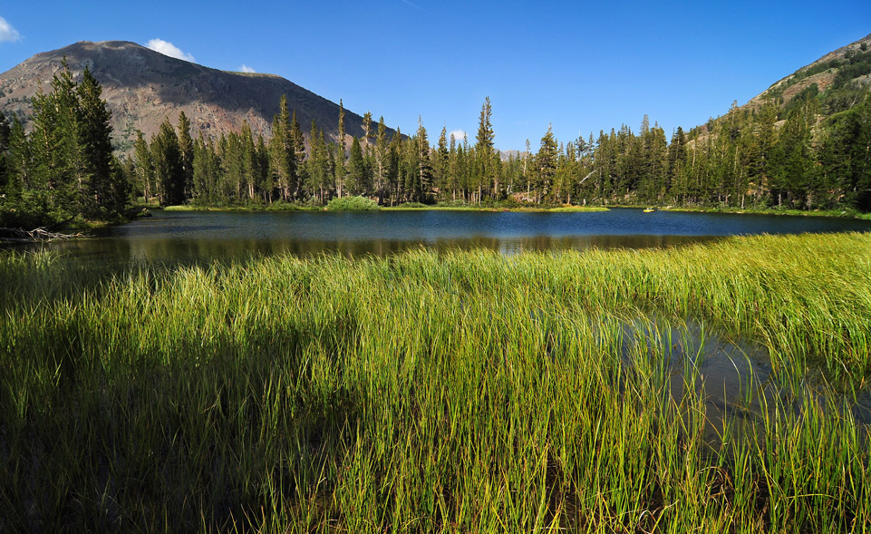 DSC 4879 kl Tioga Lake 1000