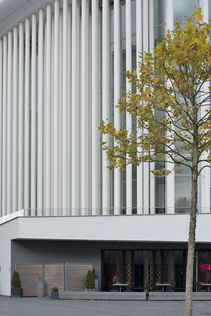 DSC 4891