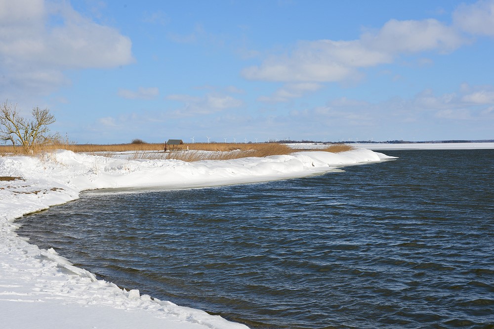 DSC 4895 23 3 13
