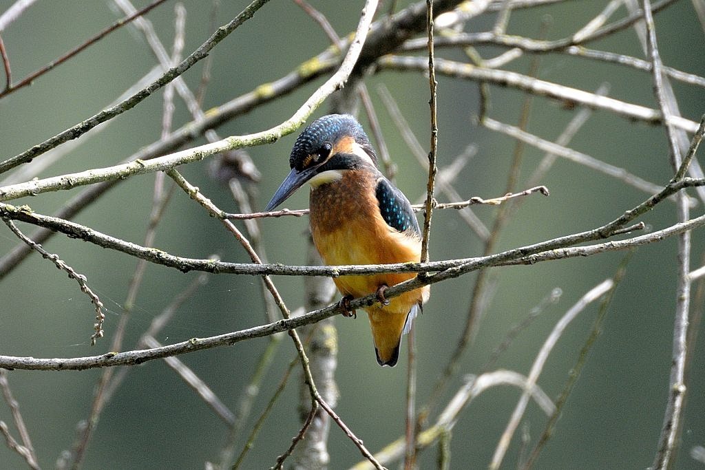 DSC 4899 01 01